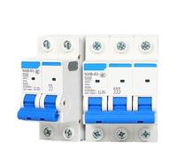 1Pcs D-type air switch NXB-63 small circuit breaker 2P air switch DZ47 air switch 100A three-phase 3P(2P,10A)