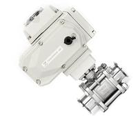 1pcs DN25 2 Way Electric Ball Valve - Stainless Steel Q911F-16P Tri Clamp Ferrule Type, 15NM Torque, IP65 Rated(110vac)