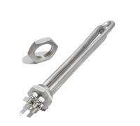 1Pcs DN25 DC 12V/24V/48V 300W 600W Heating Element For Solar Water Heater 1inch Tubular Heaters All 304 Stainless Steel(Heater nut,DC 12V_300W 200MM L)