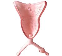 1pcs Dog Uterus Anatomical Model - Detailed Canine Ovary and Urinary Bladder Anatomy for Veterinary Education and Teaching Tool
