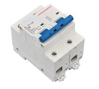 1PCS DZ47 Air Switch Household C45 Miniature Circuit Breaker 63A 100A 32A Din Rail Mount Capacity 2P Protect Switch Isolator(50A,1P - 2pcs)