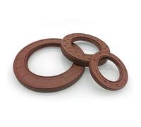1pcs Fluorine Rubber Oil Seal with Iron Skeleton Framework - TC Double Lip devise for Rotary Shaft - ID 5-15MM(11X19X6)