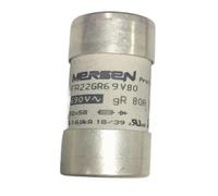 1pcs Fuses FR22GR69V40/50/63/80 E1018559 / FR22GR69V80T/100T/125T/135T H1018631 FR22GC69V32/80/100 FR22GC69V63T/100T/125T C220917(FR22GR69V80)