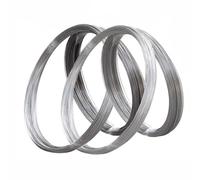 1Pcs Galvanized Iron Wire, Diameter 0.3mm 0.5 0.6 0.7 0.8 0.9 1.2 1.6mm Rust-proof Soft Iron Wire For DIY Handmade Craft(1.2mm 10m)