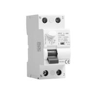 1PCS GYL9 AC Type RCCB Residual Current Circuit Breaker AC ELCB 2 Pole 25A 40A 63A 100A RCD(2P 100A,100mA)