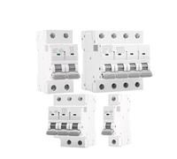 1PCS GYM9H 10KA 1P 2P 3P 4P 6A 10A 16A 20A 25A 32A 40A 50A 63A Circuit breaker 230V 400V C curve CE CB certification(1 Pole C Curve,10A)