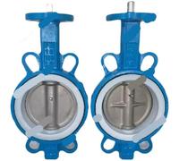 1pcs Headless PTFE Butterfly Valve Stainless Steel Plate Pneumatic/Electric Special Matching DN50 65 80 100 125(7)