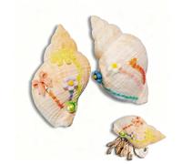 1PCS Hermit Crab Shells Turbo Seashells for Small Medium and Large Crabs Natural Sea Conch Size 1.6"