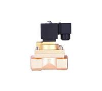 1pcs High Pressure 50 Bar Normally Closed Solenoid Valve 12VDC 24VDC 220VAC 110VAC 5MPA Solenoid Valve(220VAC)