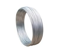 1PCS Length of 10M Stainless Steel Spring Wire Hard Rope Single Full Diameter 0.3-3MM (3MM)