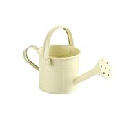 1Pcs Metal Watering Can Garden Flower Kettle Mini Small Water Spraying Pot Sprinkle With Large Capacity(Beige)