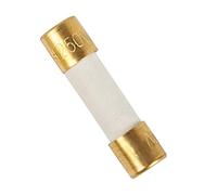 1pcs Original Imported/Swiss Alloy Fuse Tube decoding Power Amplifier Upgrade Gold-Plated Cap Fever Fuse 5 * 20MM Protected circuits (Size : 6.3A)