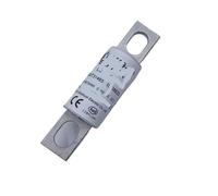 1PCS RS309-MD-EVS 100A-D Fuse Automotive Fuse