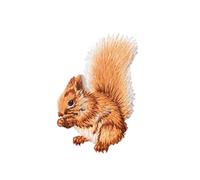 1PCS Squirrel Embroidered Patch Iron On Applique Cute Patches Shirt Bag Jeans Badges for Kids Clothing