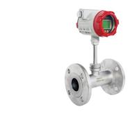 1pcs Thermal Mass Flow Meter 4-20mA/RS485 Output Flowes Measurement(DN50)