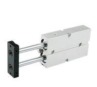 1pcs TN Series Pneumatic Cylinder Double Rod Bore TN10 TN16 TN20 TN25 TN32 Stroke 5mm 10mm 20mm 30mm 40mm 50mm Air(Stroke 40mm,Bore 10)