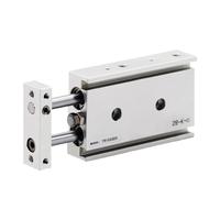 1pcs TR Series Twin-Rod Cylinder Pneumatic CylinderTR16 TR20 TR25 TR32 Air 10-90mm Stroke with Magnet(Stroke 20mm Magnetic,TR16)