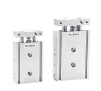 1pcs TR Series Twin-Rod Cylinder Pneumatic TR16 TR20 TR25 TR32 Air 10-100mm Stroke with Magnet(Stroke 60mm Magnetic,TR20)