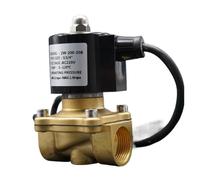1PCS Waterproof Solenoid Valve,Normally Closed,AC DC,IP68,NBR, Water Valve 1/2" 3/4" 1" 2", Fountain Underwater(1/2",AC220V)