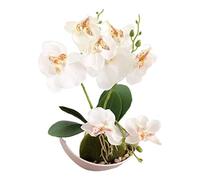 1Piece Artificial Purple Orchids in Pot Green Potted Simulation Butterfly Orchid Living Room Decoration White Flower 27cm (White)