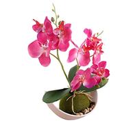 1Piece Artificial Purple Orchids in Pot Green Potted Simulation Butterfly Orchid Living Room Decoration White Flower 27cm (rosered)