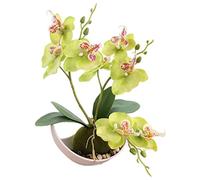 1Piece Artificial Purple Orchids in Pot Green Potted Simulation Butterfly Orchid Living Room Decoration White Flower 27cm (green)