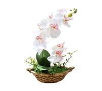 1Piece Artificial White Orchid in Pot Purple Potted Simulation Butterfly Orchid Decoration Flower Arrangement Home Décor Green Orchid 27cm (white)