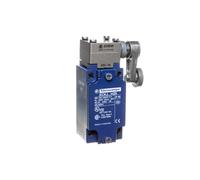 1R 1Z Limit Switch Flashing Metal Lever with XCKJ10513H29