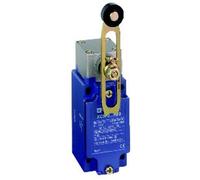1R 1Z Limit Switch Flashing Plastic Lever XCKJ10541H29
