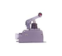 1R 1Z Limit Switch in Housing with Lever LM W0-59-251032