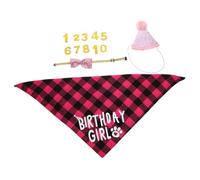 1Set Cat Birthday Hat with Bow Tie and Bib Comfortable and Lightweight Pet Accessory for Photo Shoots and Birthday Parties Design for Cats and Dogs