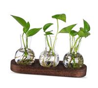 1Set Desktop Glass Planter Bottle Hydroponic Terrarium for Home Office Decor Clear Centerpiece Vases with Solid Base Adaptable Plant Display for Vibrant Indoor Oasis