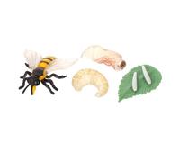1Set Educational Bee Growth Cycle Model Detailed Miniature Insect Display for Kindergarten Schools and Science Museums Safe and Lifelike Design for Teaching Life