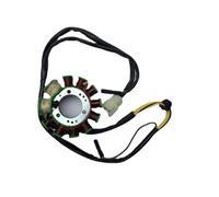 1set Motorcycle Accessories Coil For Chunlan Butch King CBT125 CB125T The Stator Cm125
