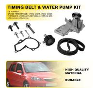 INA 530 0495 30 Water pump and timing belt kit