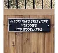 1st 4 Signs Custom Modern House Numbers - Contemporary Sign 30cm x 15cm Laser Cut Brushed Silver Lettering, including Stainless Steel Standoff Wall Mounts