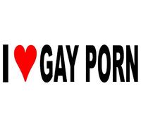 1st-Class-Designs I Love Gay Porn Funny Prank Comedy Wind Your Mates up Sticker Decal