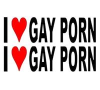 1st-Class-Designs I Love Gay Porn Funny Prank Comedy Wind Your Mates up Sticker Decal x 2