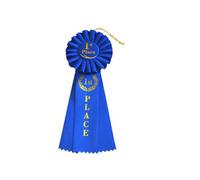 1st Place Rosette Ribbon