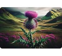 1stclassgifts Scottish Thistle MDF Rectangle Wall Art Selection Of Sizes Scotland (UV PRINTED) (Thistle Only, X Large 600x400mm)