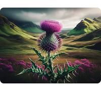 1stclassgifts Scottish Thistle MDF Rectangle Wall Art Selection Of Sizes Scotland (UV PRINTED) (Thistle Only, Large 400x300mm)