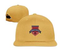 1TB HDD FOR SAMSUNG Q45 2.5" SATA LAPTOP NOTEBOOK HARD DRIVE NEW HARD DRIVE -5400RPM