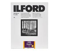 1x 10 Ilford MG RC DL 1M 24x30