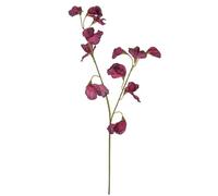 1x Artificial Plum Coloured Sweet Pea Stem, Realistic Sweetpea Silk Flowers, Wild Faux Dark Pink Purple Meadow Flower, Spring Flower Stem, Faux Sweet Pea Flower Stem