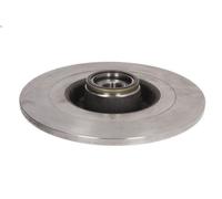 1X Brake disc DELPHI BG9023RS for RENAULT VEL SATIS (BJ0_) 3 2002-2006