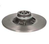 1X Brake disc DELPHI BG9025RS for RENAULT 19 I (B/C53_) 1.4 1989-1992