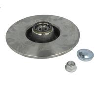 Genuine Delphi Rear Solid Brake Discs Set Pair - BG9032RS