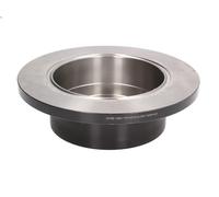 1X Brake disc TRW DF4481S for FIAT DUCATO Bus (230_) 2 2001-2002