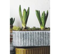 1x Flower Trough, Ribbed Metal Trough Planter, Ribbed Oval Cactus Long Planter in Rust or Zinc, Outdoor Garden Spring Bulb Window Box, Rustic Ribbed Shallow Plant Pot Tray (Zinc)