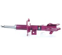 2x Gas Shock Absorber PRO Front Right=Left GH+352298H/V